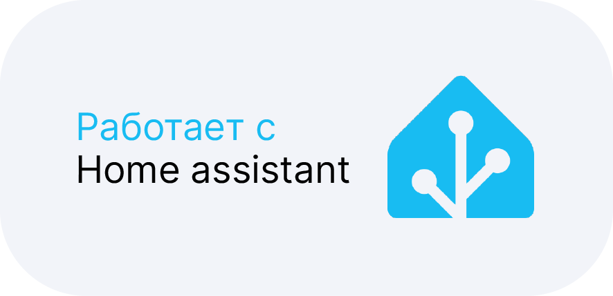 Home Assistant